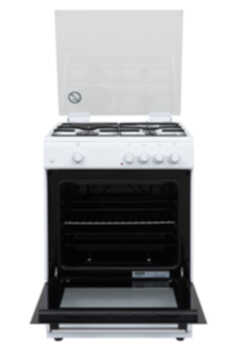 Oven F66G31W 