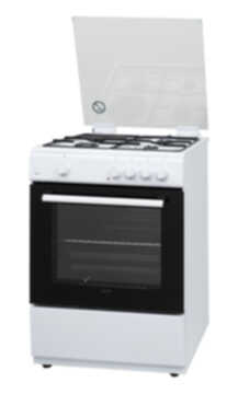 Oven F66G31W 