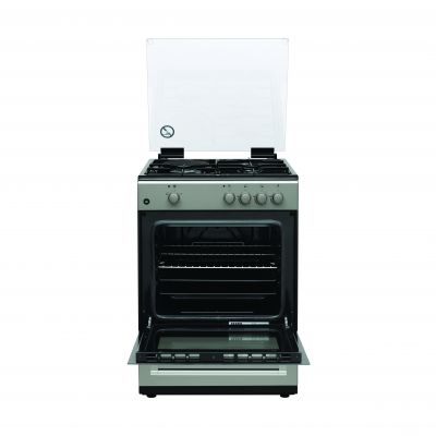 Oven F66G31X  
